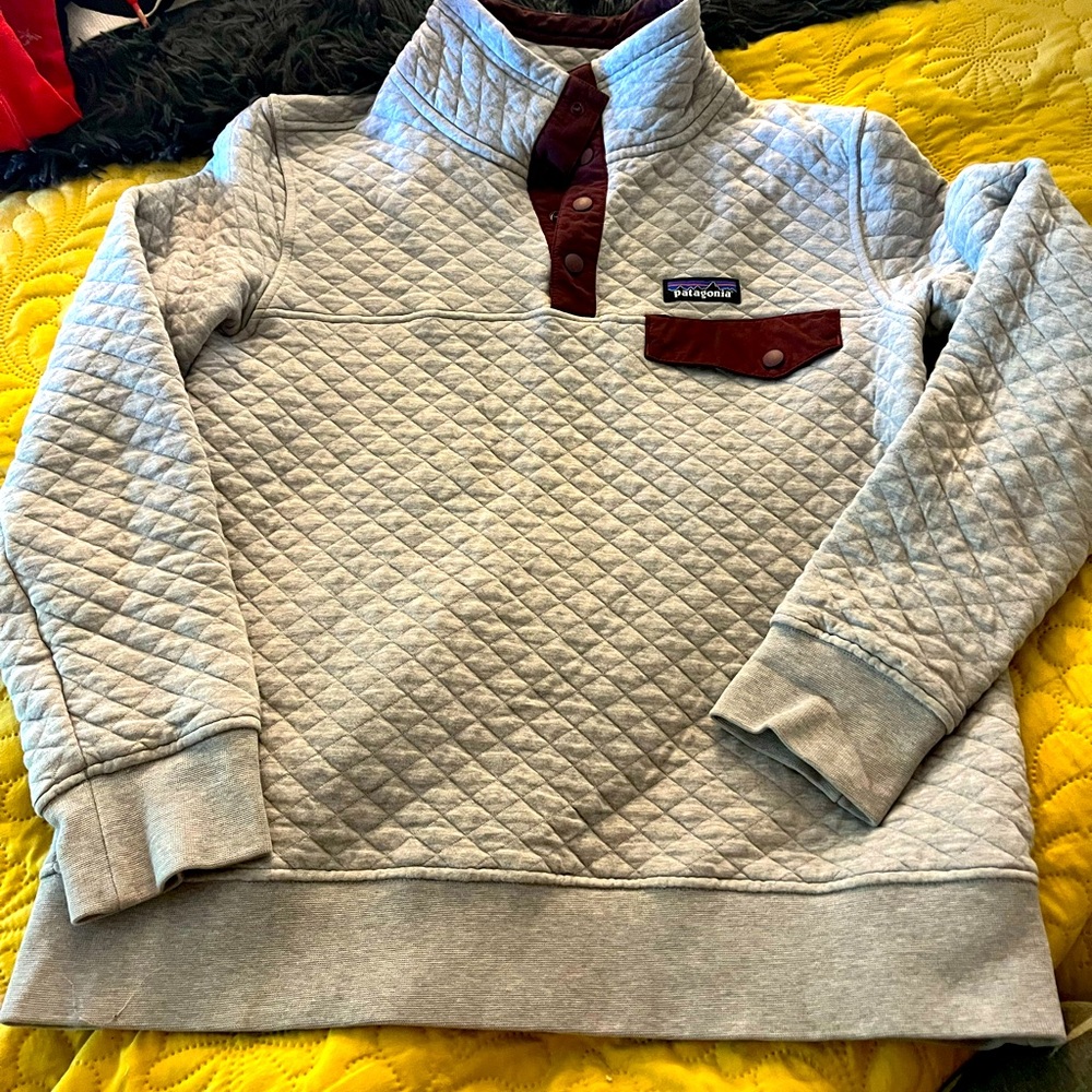 Patagonia Gray Sweatshirt